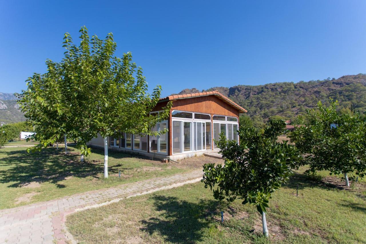 Ugur Pansiyon Bungalows Çıralı Zewnętrze zdjęcie