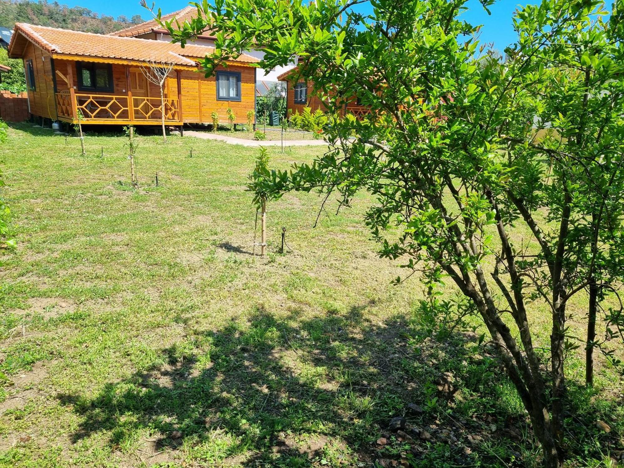Ugur Pansiyon Bungalows Çıralı Zewnętrze zdjęcie